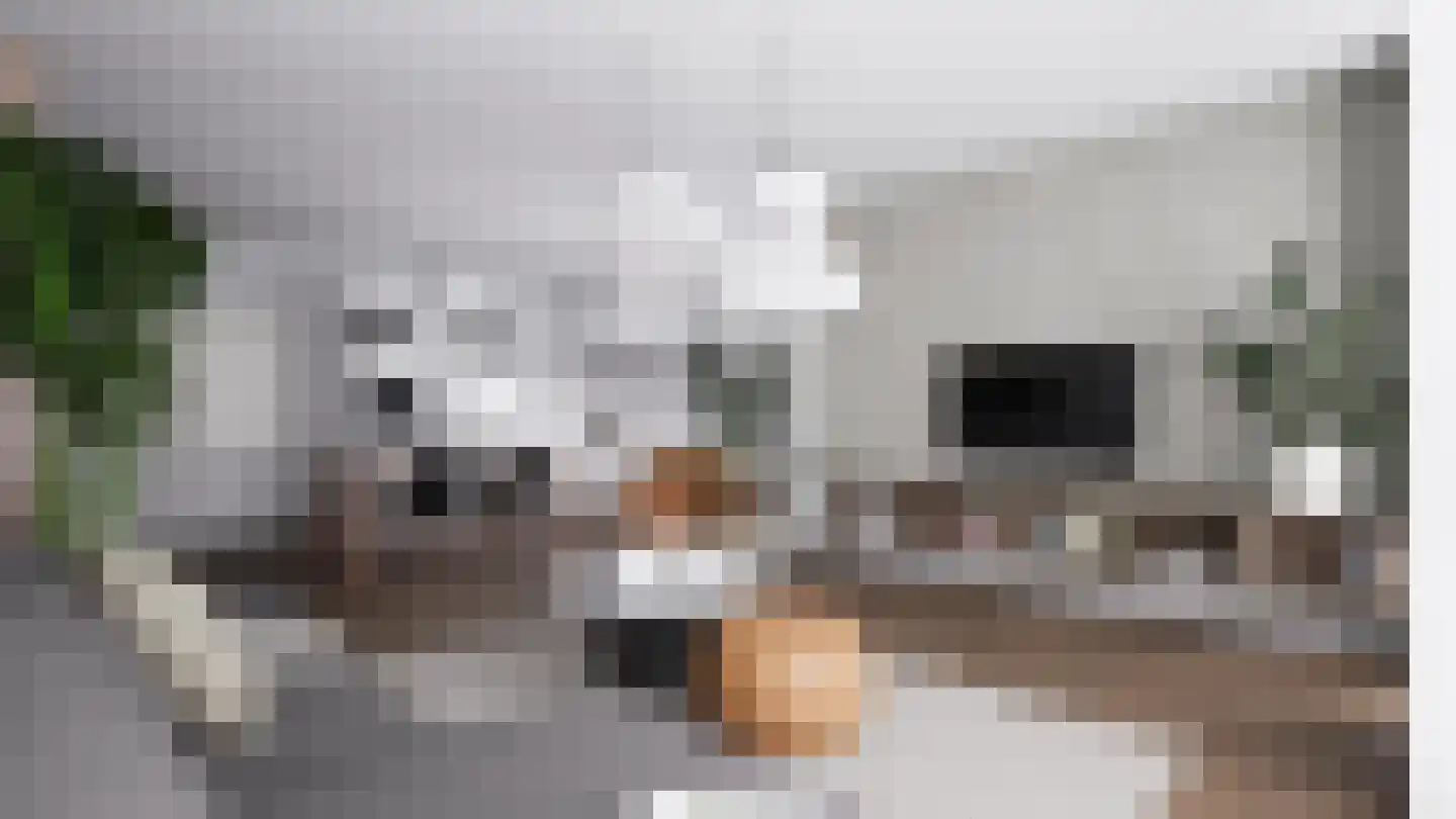 Willem de Zwijgerweg 4 Geldermalsen thumbnail 5