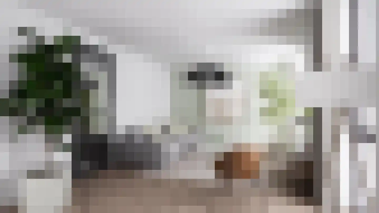 Willem de Zwijgerweg 6 Geldermalsen thumbnail 5