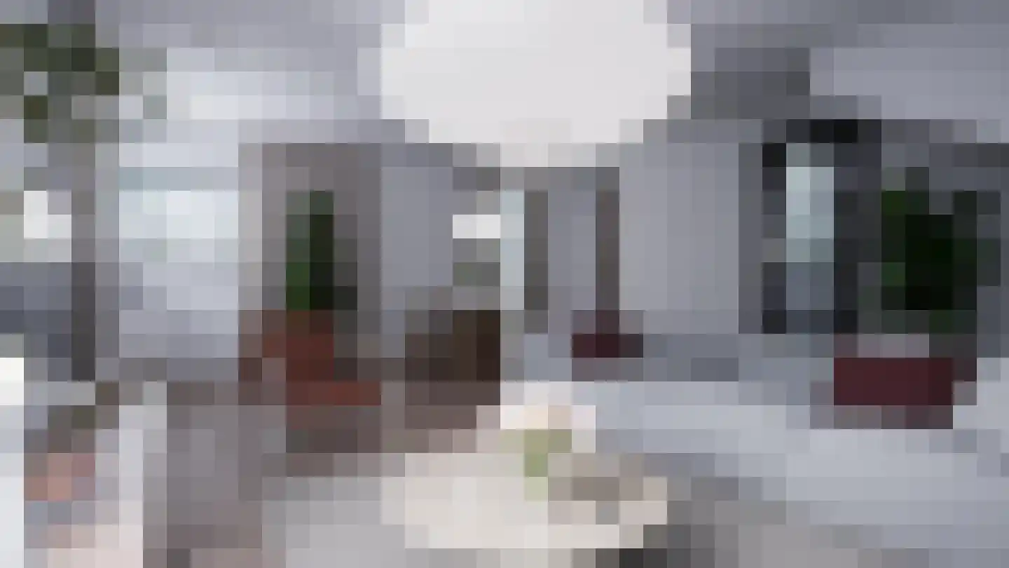 Willem de Zwijgerweg 6 Geldermalsen thumbnail 7