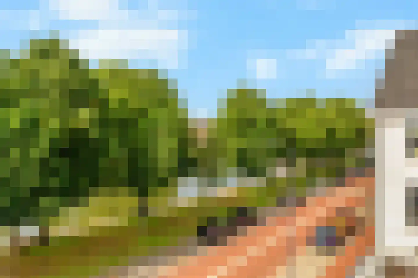 Willem Deckersstraat 2 D 's-Hertogenbosch thumbnail 5
