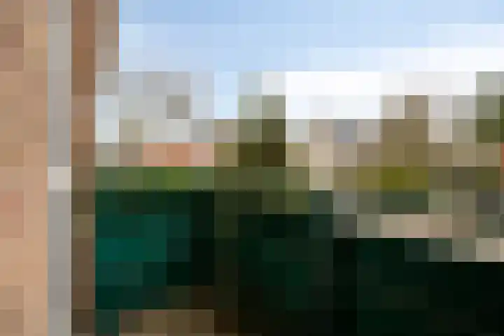 Willem Draijerstraat 2 Zandvoort thumbnail 31