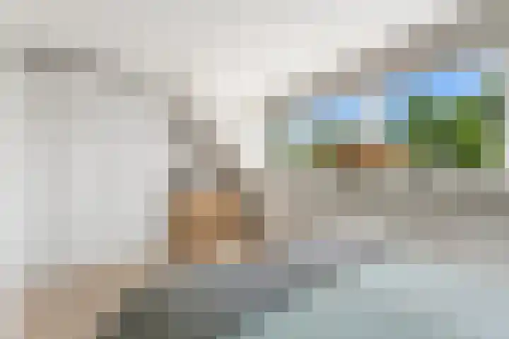 Willem Dreeshof 24 Alblasserdam thumbnail 18