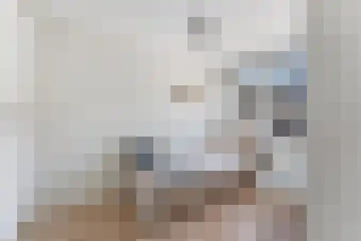 Willem Dreeshof 24 Alblasserdam thumbnail 20
