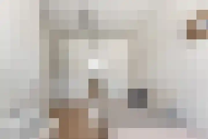 Willem Dreeshof 24 Alblasserdam thumbnail 21