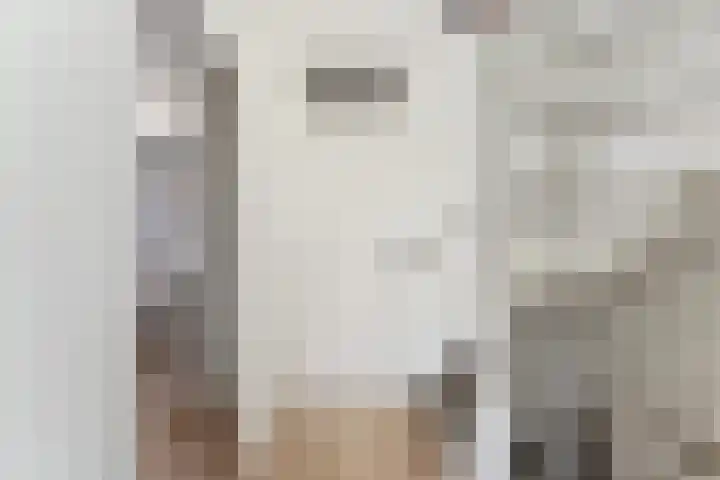 Willem Dreeshof 24 Alblasserdam thumbnail 25