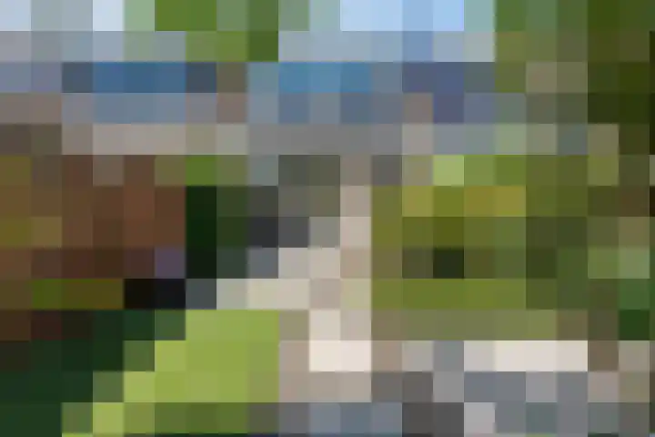 Willem Dreeshof 24 Alblasserdam thumbnail 31
