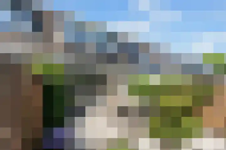 Willem Dreeshof 24 Alblasserdam thumbnail 32