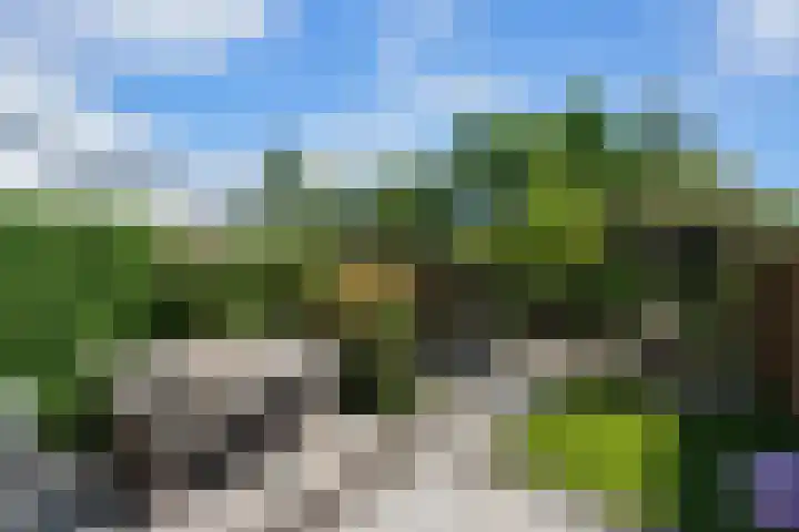 Willem Dreeshof 24 Alblasserdam thumbnail 33