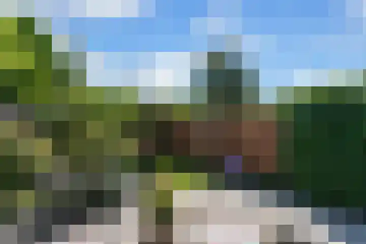 Willem Dreeshof 24 Alblasserdam thumbnail 34