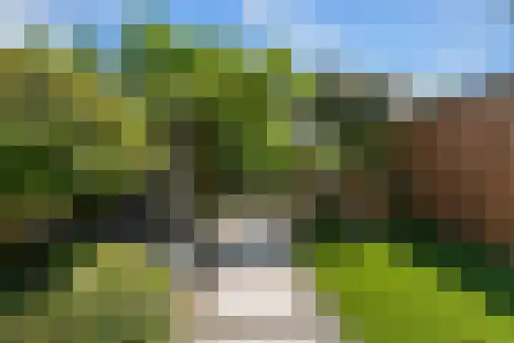 Willem Dreeshof 24 Alblasserdam thumbnail 35