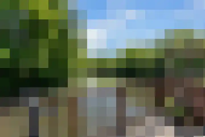 Willem Dreeshof 24 Alblasserdam thumbnail 37