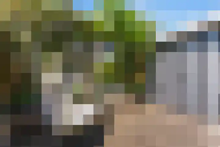 Willem Dreeshof 24 Alblasserdam thumbnail 38