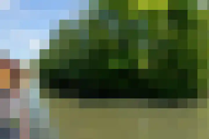 Willem Dreeshof 24 Alblasserdam thumbnail 39