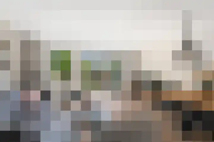 Willem Dreeshof 24 Alblasserdam thumbnail 5