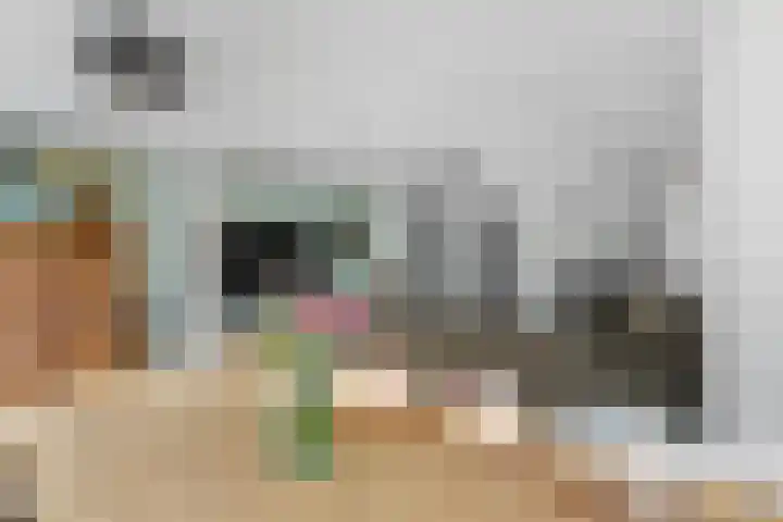 Willem Dreeshof 29 Alblasserdam thumbnail 12