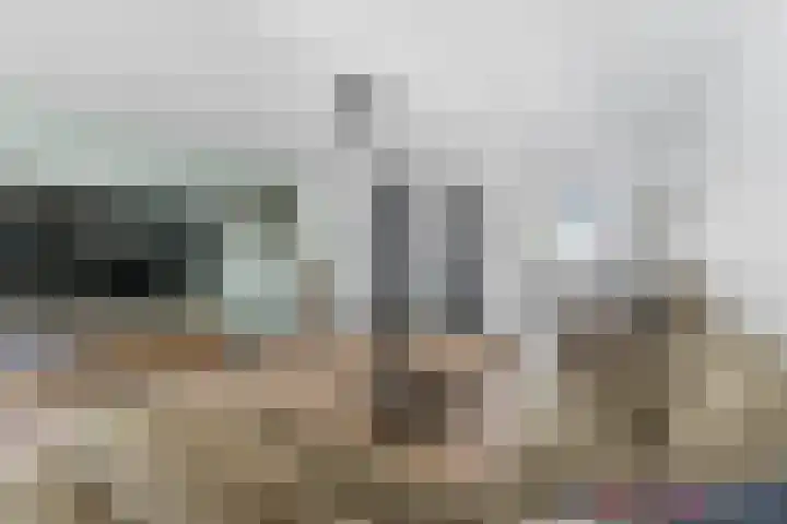 Willem Dreeshof 29 Alblasserdam thumbnail 13