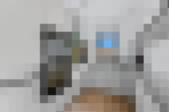 Willem Dreeshof 29 Alblasserdam thumbnail 18