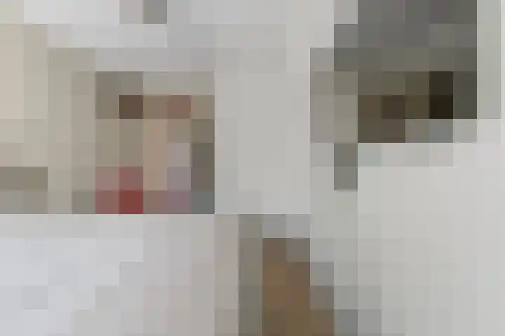 Willem Dreeshof 29 Alblasserdam thumbnail 21