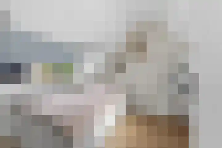 Willem Dreeshof 29 Alblasserdam thumbnail 31