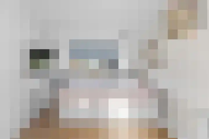 Willem Dreeshof 29 Alblasserdam thumbnail 32