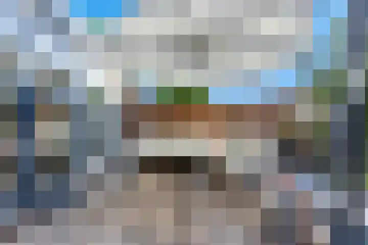 Willem Dreeshof 29 Alblasserdam thumbnail 35