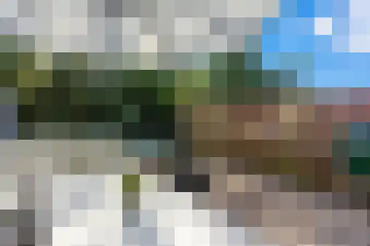 Willem Dreeshof 29 Alblasserdam thumbnail 37