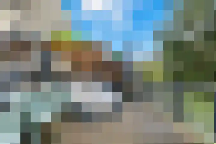Willem Dreeshof 29 Alblasserdam thumbnail 39