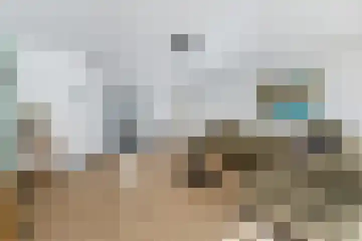 Willem Dreeshof 29 Alblasserdam thumbnail 4