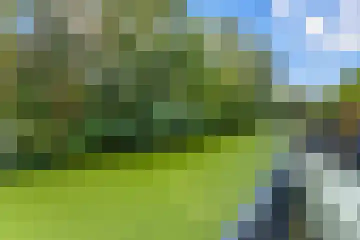 Willem Dreeshof 29 Alblasserdam thumbnail 41