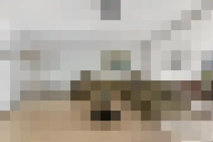 Willem Dreeshof 29 Alblasserdam thumbnail 5