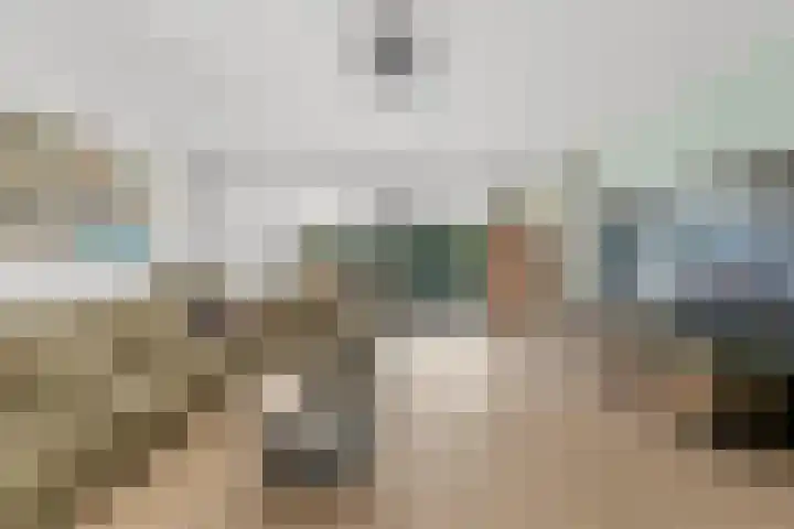 Willem Dreeshof 29 Alblasserdam thumbnail 8