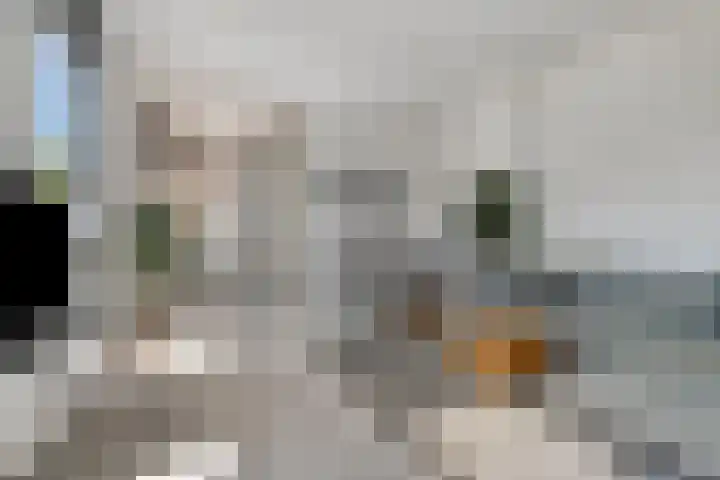 Willem Dreeshof 3 Veenendaal thumbnail 11