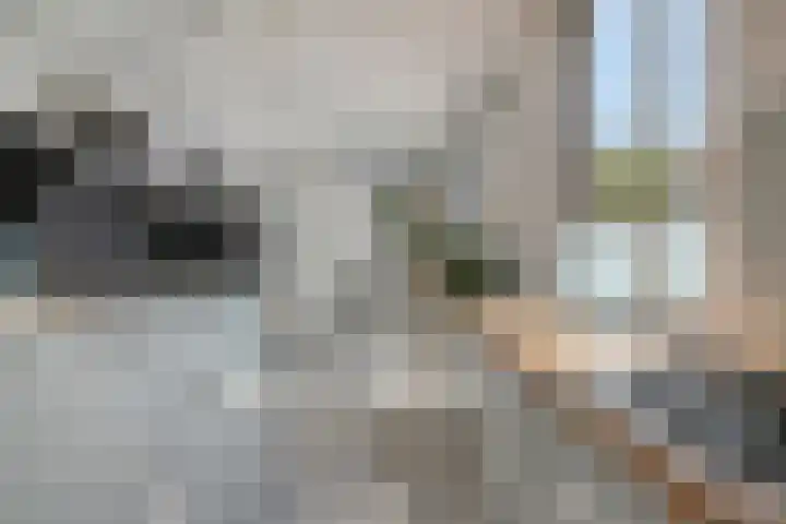 Willem Dreeshof 3 Veenendaal thumbnail 15