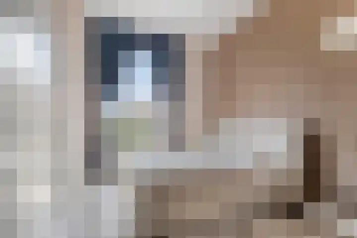 Willem Dreeshof 3 Veenendaal thumbnail 17