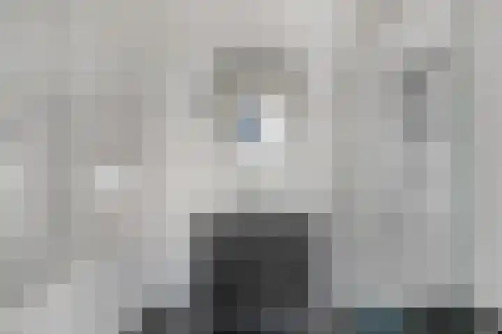 Willem Dreeshof 3 Veenendaal thumbnail 19