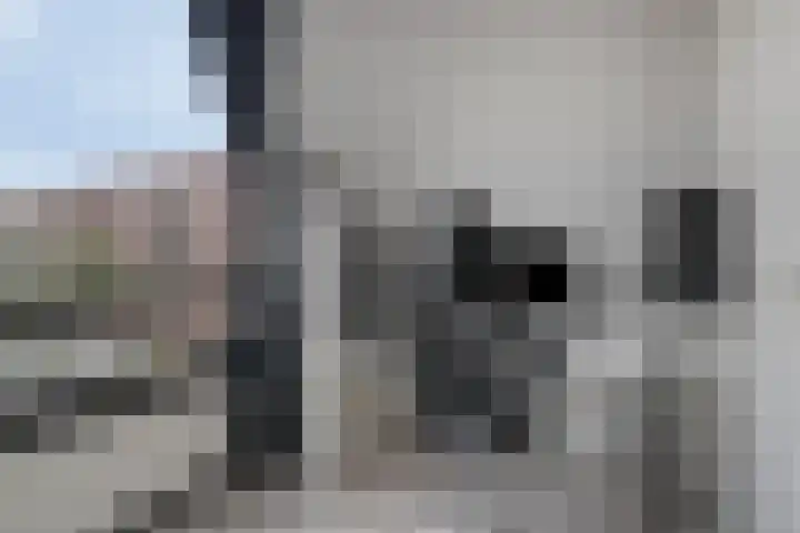 Willem Dreeshof 3 Veenendaal thumbnail 23