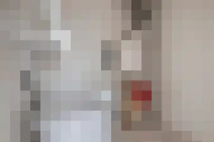 Willem Dreeshof 3 Veenendaal thumbnail 25