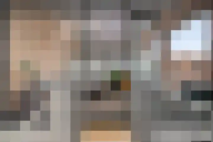 Willem Dreeshof 3 Veenendaal thumbnail 26