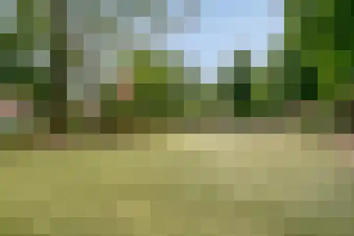 Willem Dreeshof 3 Veenendaal thumbnail 31