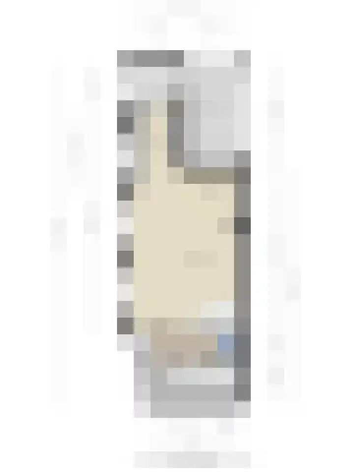 Willem Dreeshof 3 Veenendaal thumbnail 32