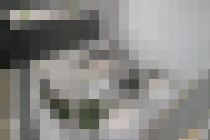 Willem Dreeshof 3 Veenendaal thumbnail 8