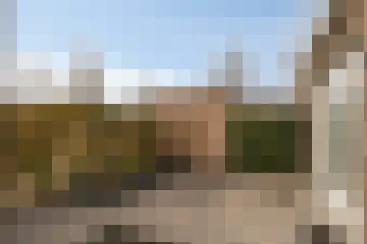 Willem Dreeshof 3 Waalwijk thumbnail 23