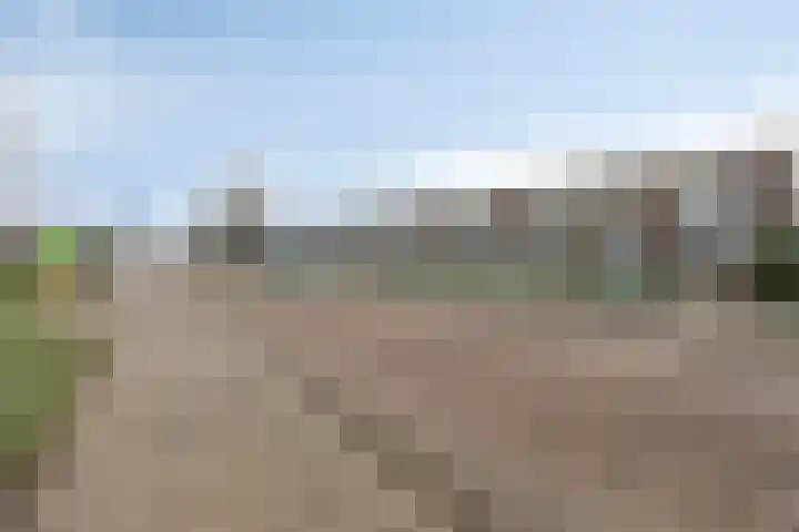 Willem Dreeshof 3 Waalwijk thumbnail 25