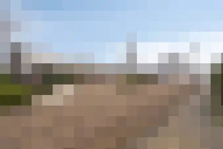 Willem Dreeshof 3 Waalwijk thumbnail 26