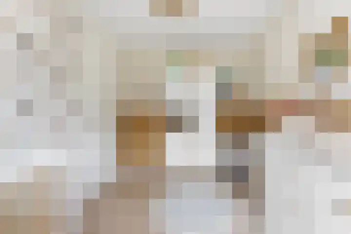 Willem Dreeshof 36 Alblasserdam thumbnail 22
