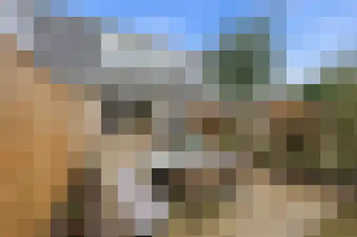 Willem Dreeshof 36 Alblasserdam thumbnail 34