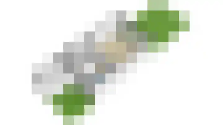 Willem Dreeshof 36 Alblasserdam thumbnail 37