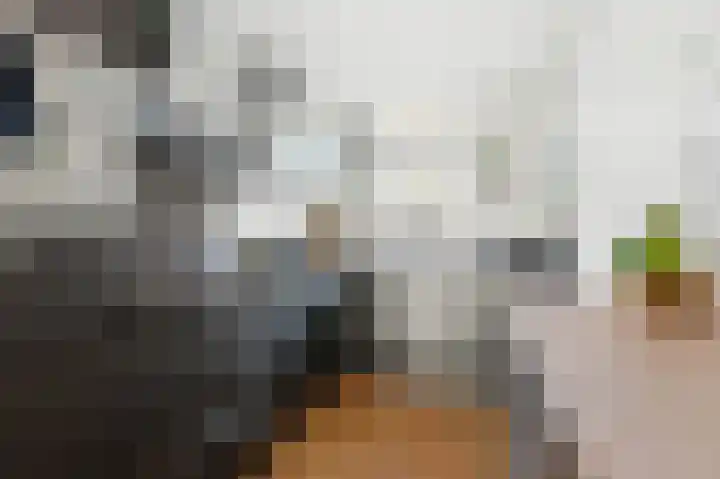 Willem Dreeshof 37 Alblasserdam thumbnail 12