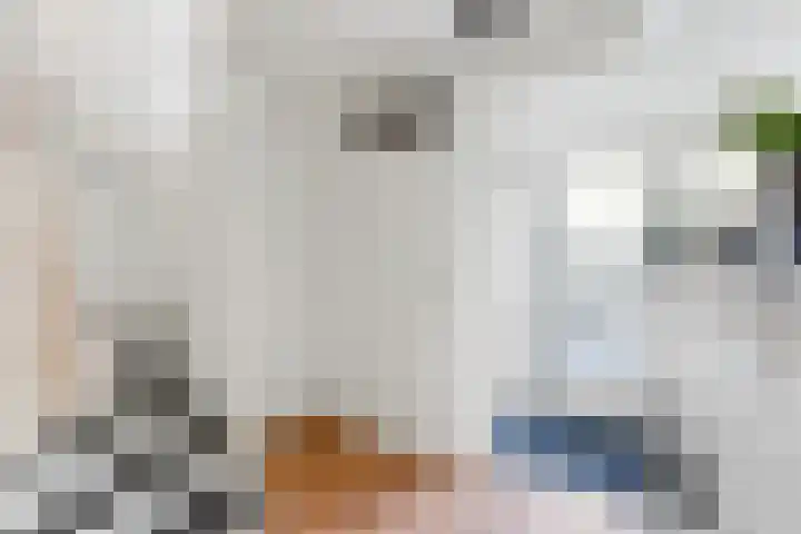 Willem Dreeshof 37 Alblasserdam thumbnail 16