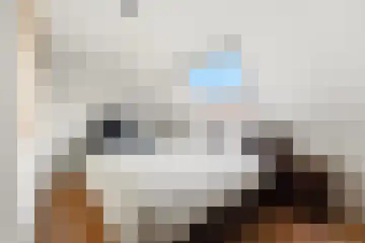 Willem Dreeshof 37 Alblasserdam thumbnail 17